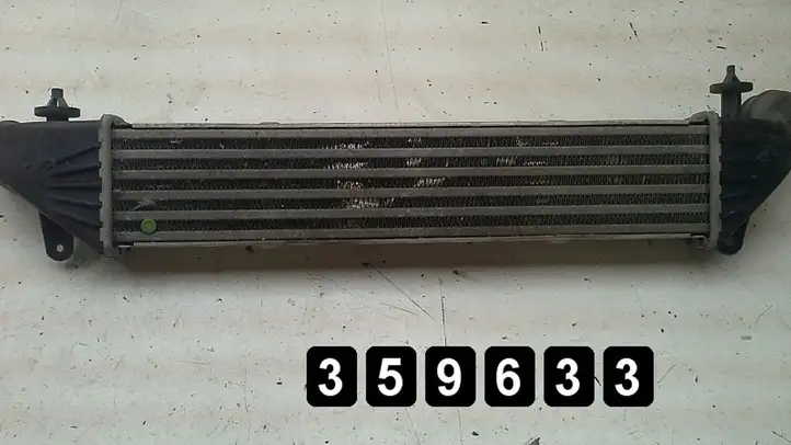 Mercedes-Benz SLK R170 (1996 - 2004) 2000 compresor 1705000400 Радиатор охлаждающей жидкости двигателя — фото 5