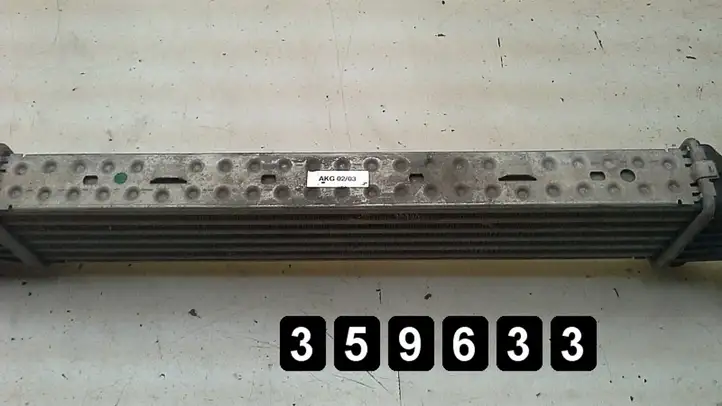 Mercedes-Benz SLK R170 (1996 - 2004) 2000 compresor 1705000400 Радиатор охлаждающей жидкости двигателя — фото 6