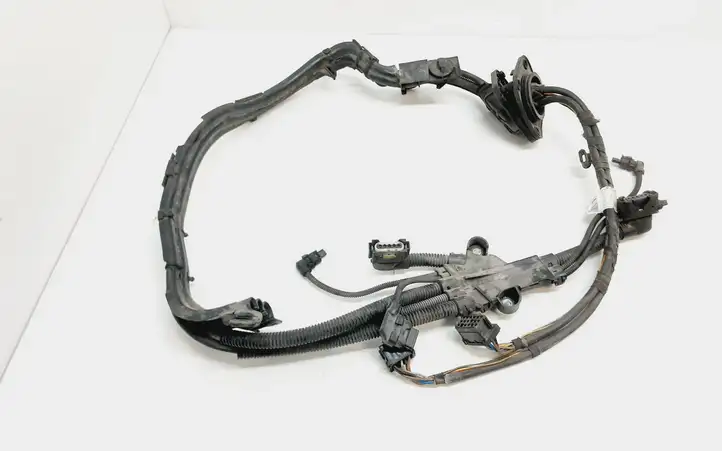 BMW X5 E70 (2006 - 2013) 7575580 Прочая электропроводка — фото 1