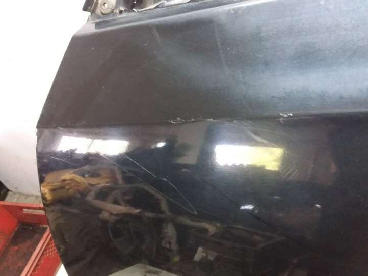 Subaru Forester SH (2008 - 2013)   Дверь