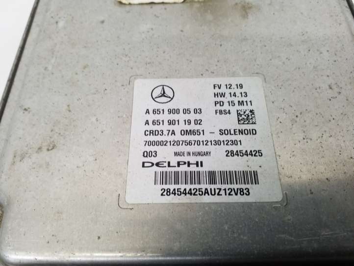 Mercedes-Benz E W212 (2009 - 2016)  A6519000503 Блок управления двигателя