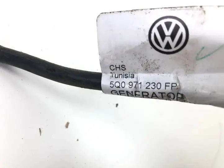 Volkswagen PASSAT B8 (2015 - ) 5Q0971230FP Проводка генератора — фото 2