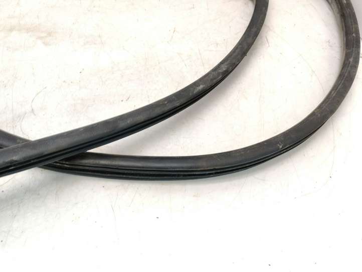 Toyota RAV 4 (XA20) (2000 - 2005)   Уплотнительная резина на задних дверях