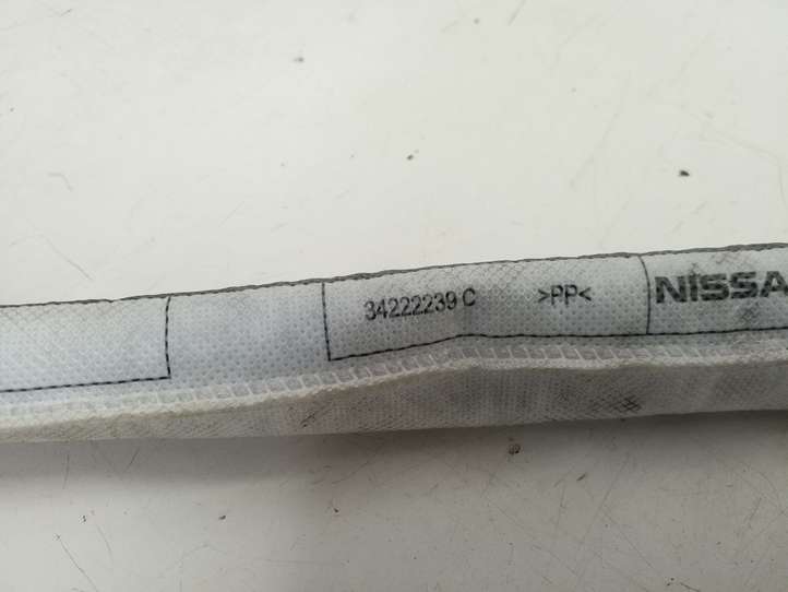 Nissan Juke I F15 (2010 - 2018)  34209639 Звукоизоляция крыши