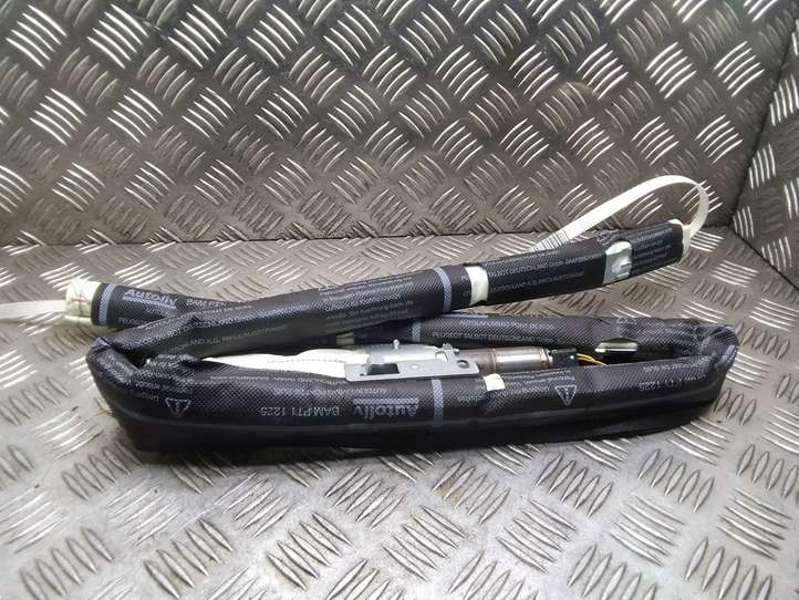 Peugeot 207 (2006 - 2009)  9650247880 Звукоизоляция крыши
