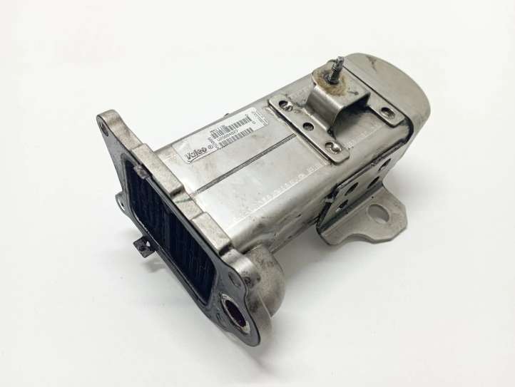 Ford Kuga I (2008 - 2012)  V29004027 Охладитель EGR