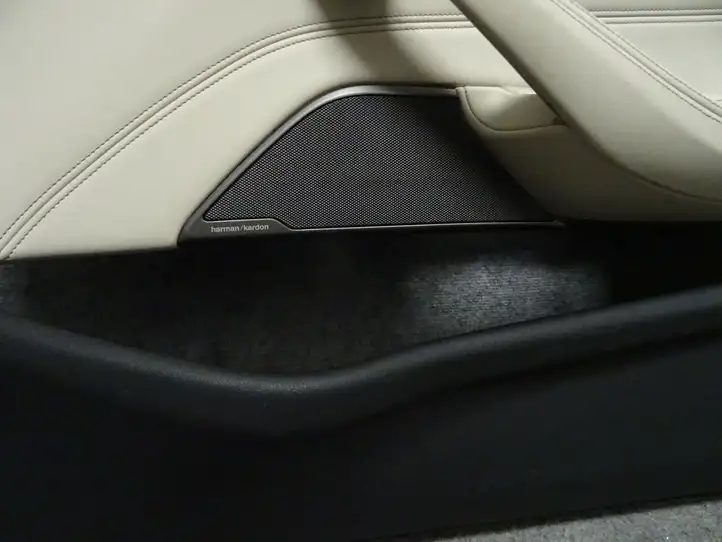 BMW 5 G30 G31 (2016 - ) Обшивка передней двери — фото 3