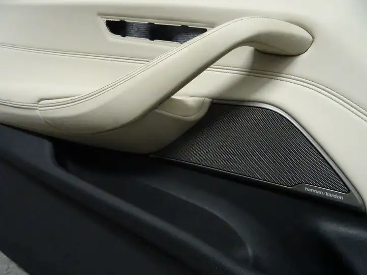 BMW 5 G30 G31 (2016 - ) Обшивка передней двери — фото 3