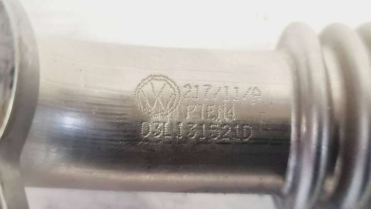 Audi A4 (2007 - 2011)  03L131521D EGR трубка (трубки)/ шланг (шланги)