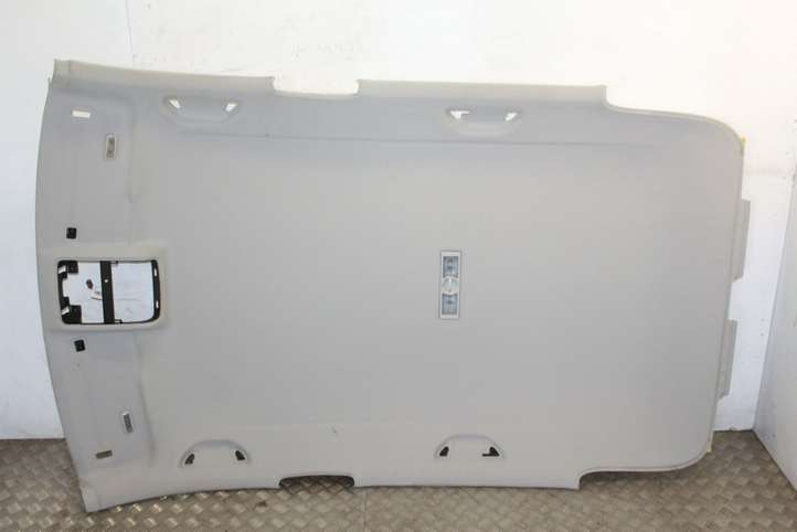 Volkswagen Tiguan (2011 - 2016)  5N0867501DH Потолок