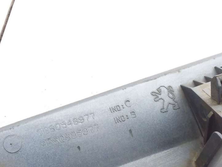 Peugeot 207 (2006 - 2009)  9680548977 Освещение номера