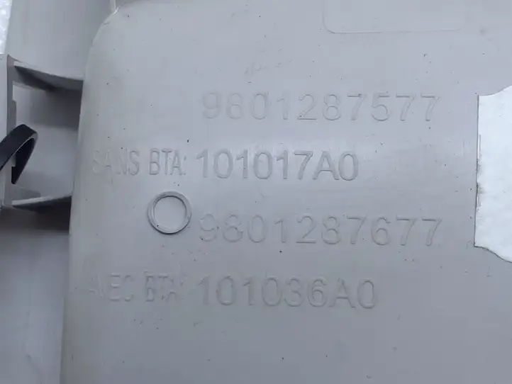 Citroen C4 Cactus (2014 - 2017) 9801287577 Передняя подсветка — фото 3