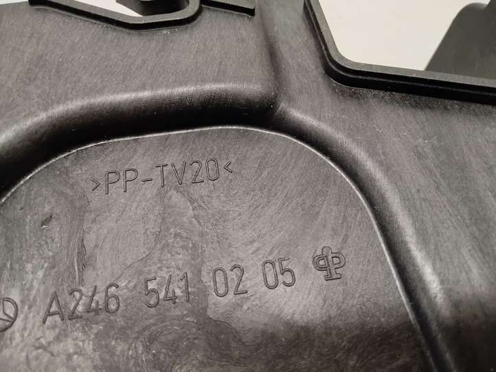 Mercedes-Benz A W176 (2012 - 2018)  A2465410205 Перегородка у аккумулятора