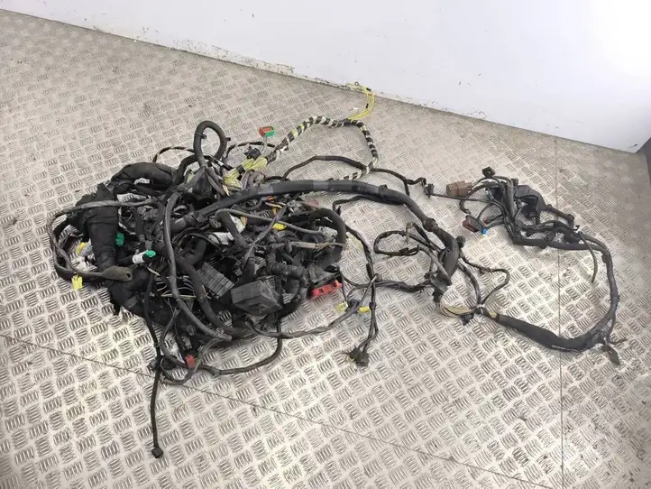 Citroen C6 (2005 - 2012) 9657453680 Прочая электропроводка — фото 1