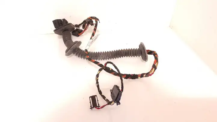 Porsche Cayenne (9PA) (2002 - 2010)  7L0971905 Проводка передних дверей