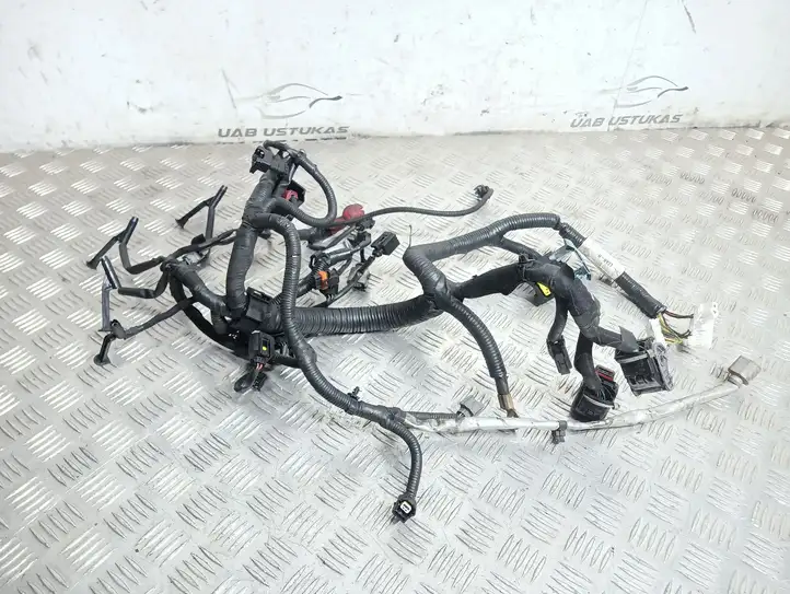 Nissan Qashqai (2006 - 2010) 24011JD07C Проводка двигателя — фото 1