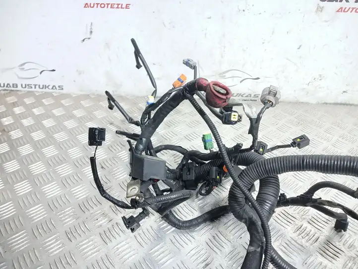 Nissan Qashqai (2006 - 2010) 24011JD07C Проводка двигателя — фото 4