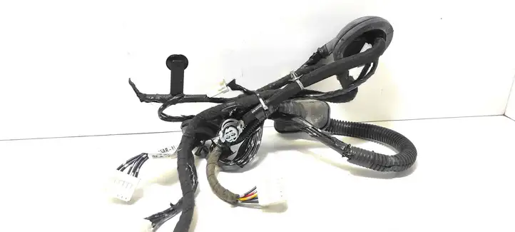 Nissan Qashqai (2006 - 2010) 24125JD05E Проводка передней двери — фото 3