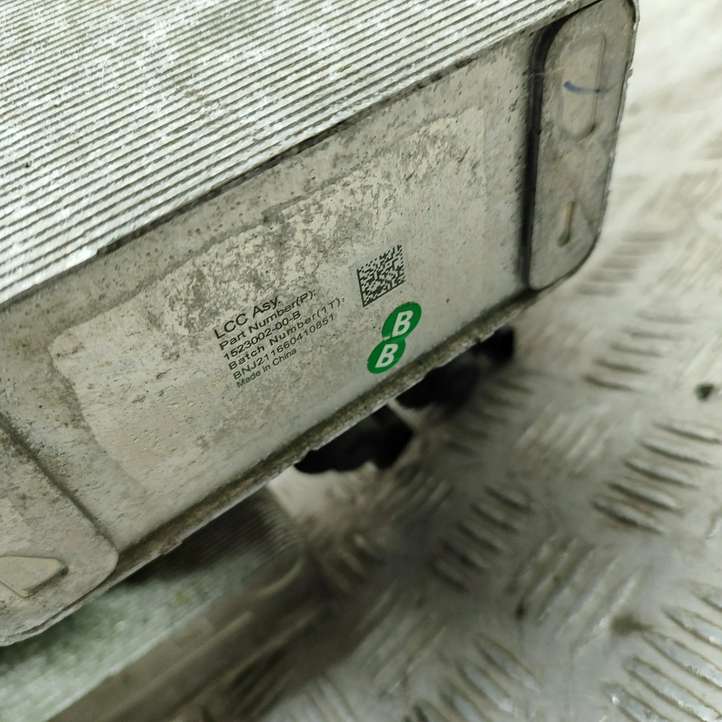 Tesla Model Y (2019 - 2024)  152300700E Другие приборы