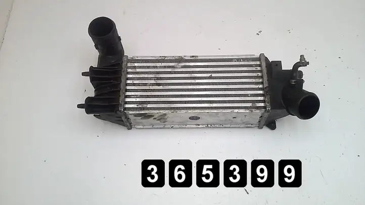 Peugeot 607 (2000 - 2004) 2200HDI Радиатор охлаждающей жидкости двигателя — фото 1