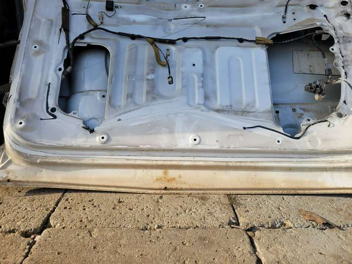 Toyota RAV 4 (XA20) (2000 - 2005)   Задняя крышка (багажника)