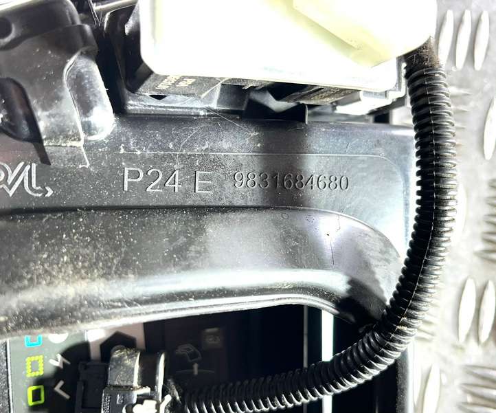 Peugeot 2008 II (2019 - )  9831684680 Крышка гнезда для зарядки электромобиля
