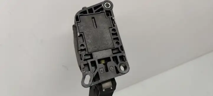 Citroen C4 I Picasso (2006 - 2013) RB0280755044 Педаль акселератора — фото 3