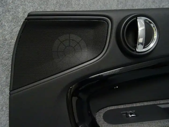 Mini Cooper Countryman F60 (2016 - 2020) Обшивка передней двери — фото 6