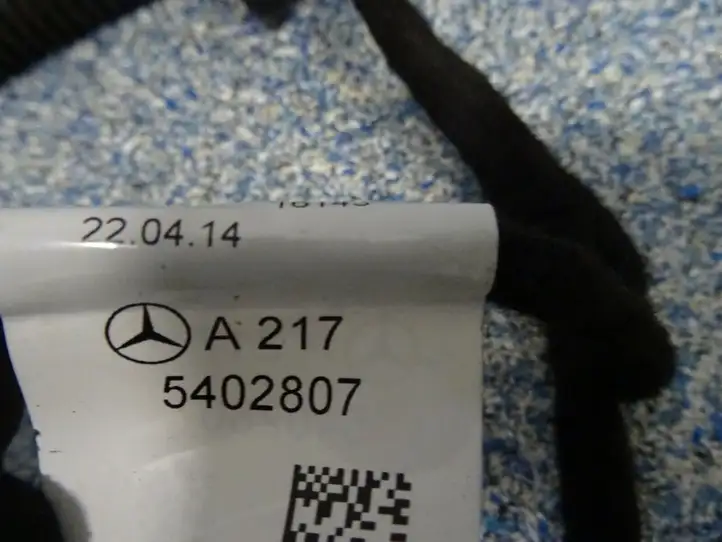 Mercedes-Benz S C217 (2015 - 2020) 2175402807 Проводка передней двери — фото 10