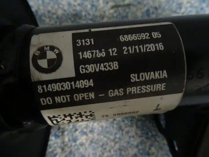 BMW 5 G30 G31 (2016 - ) 6866592 Передняя стойка амортизатора — фото 6