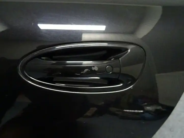 Porsche Panamera (970) (2009 - 2013) Задняя дверь — фото 6
