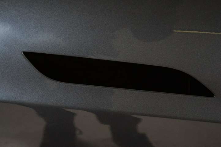 Tesla Model S (2016 - 2021)   Дверь