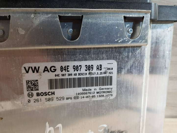 Volkswagen Golf VII (2013 - 2019)  04E907309AB Блок управления двигателя