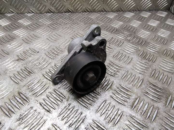 Nissan Qashqai (2010 - 2013)  117507568R Устройство натяжки ремня
