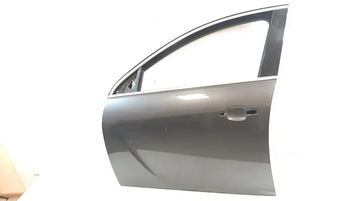 Opel Insignia A (2008 - 2017) Дверь — фото 1