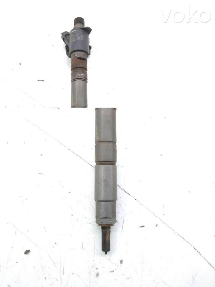 Volvo C30 (2010 - 2013)  0445116046 Жиклер (жиклеры) (форсунка (форсунки)