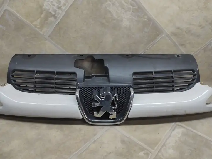 Peugeot 206 (1998 - 2012) 9628934280 Верхняя решетка радиатора — фото 1