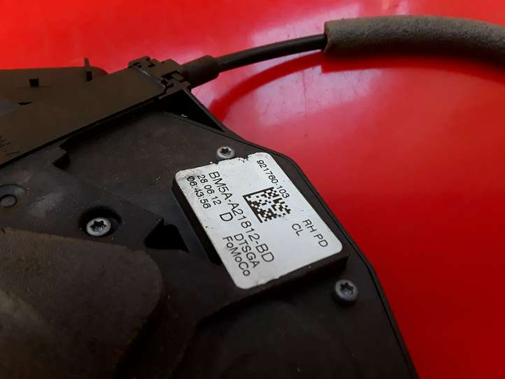 Ford Focus (2011 - 2015)  BM5AA21812BD Передняя звукоизоляция