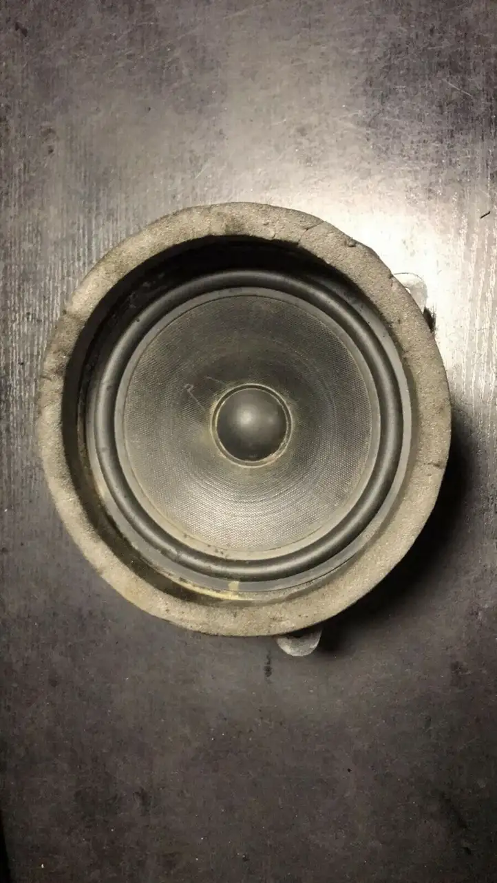 BMW X5 E53 (1999 - 2006) 2752555559 Динамики задних дверей — фото 1