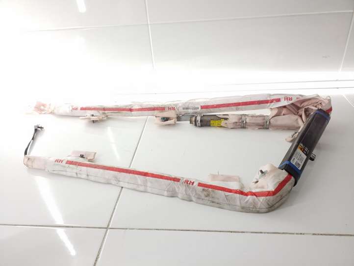 Tesla Model S (2016 - 2021)  100526200C Звукоизоляция крыши