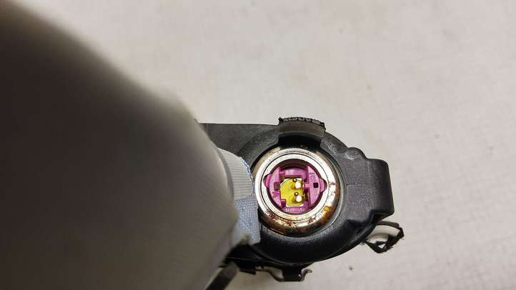 Volkswagen PASSAT B6 (2005 - 2010)  3C0880742C Звукоизоляция крыши
