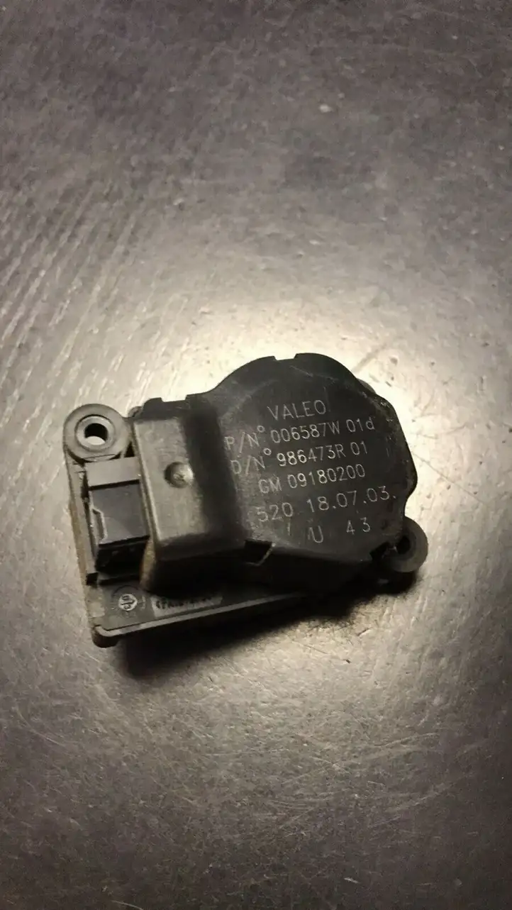 Opel Signum (2002 - 2008) GM09180200 Двигатель задвижки потока воздуха — фото 1
