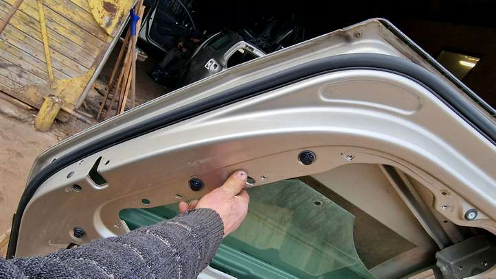 Volkswagen PASSAT B6 (2005 - 2010)  LD1W Задняя дверь