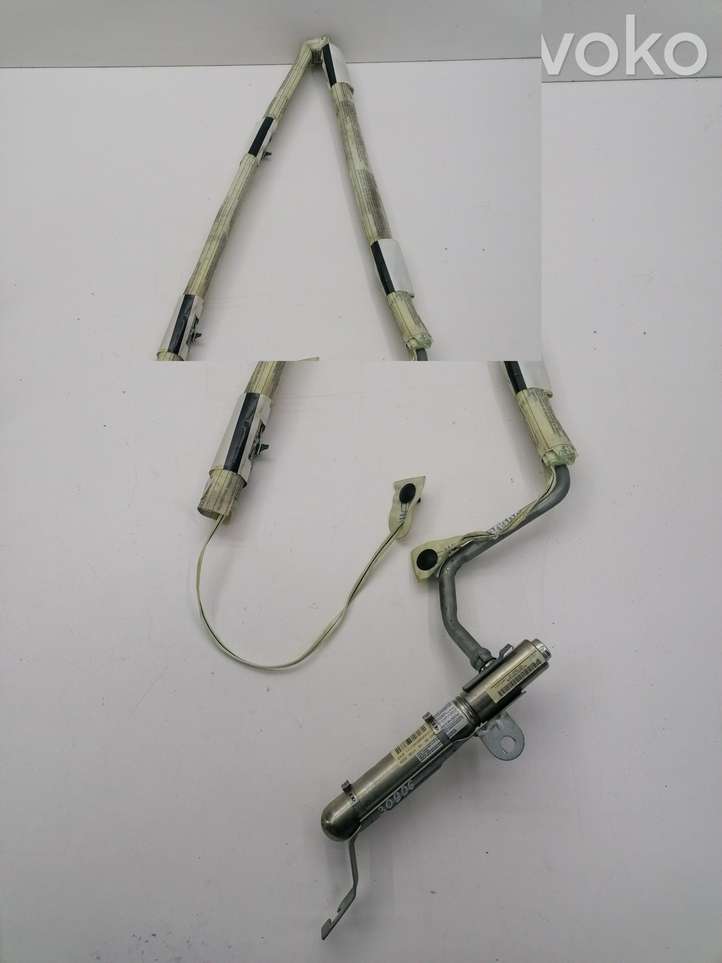 Renault Clio III (2005 - 2012)  8200271843E Звукоизоляция крыши