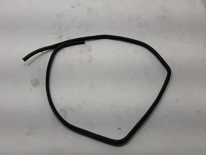 Nissan Qashqai (2013 - 2017)  769244EA0A Уплотнительная резина (на кузове)