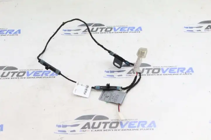 BMW X5 E70 (2006 - 2013) 7184661 Подсветка ручки задней двери — фото 1