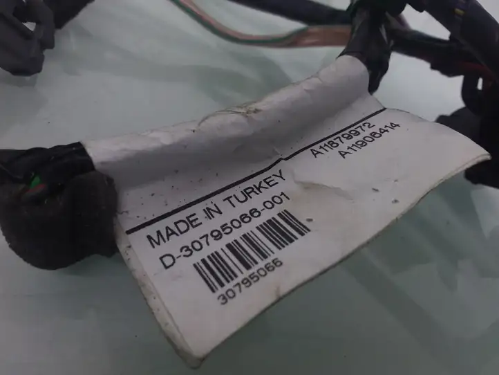 Volvo S80 (2006 - 2009) 30795066 Проводка задней двери — фото 4