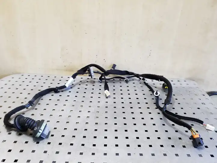 Citroen C4 Grand Picasso (2013 - 2016) 9807324380 Проводка задней двери — фото 1