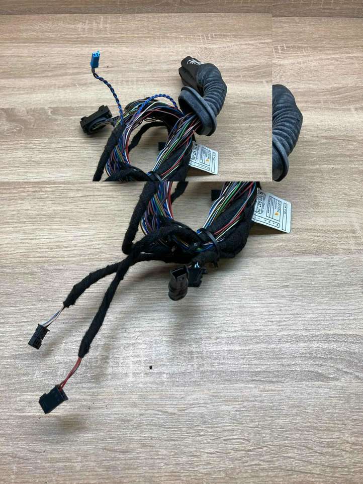 BMW 3 F30 F35 F31 (2012 - 2018)  9313647 Проводка передних дверей