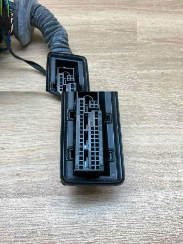 BMW 3 F30 F35 F31 (2012 - 2018)  9313647 Проводка передних дверей
